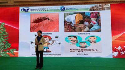 新华全媒+|中国经验助力共创“无疟世界”