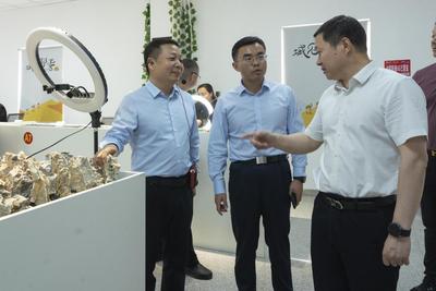 湖南省第十批援疆工作队一行莅临鄯善县电商产业园考察调研