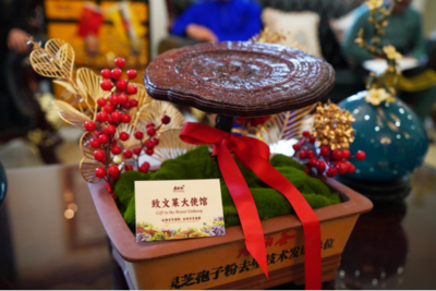 弘扬百年国粹，全球共享健康——寿仙谷走进文莱大使馆