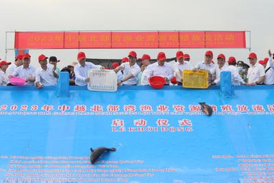 中越联合开展北部湾渔业资源增殖放流活动