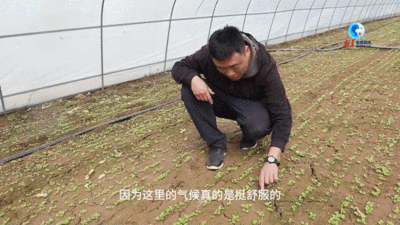 中国故事｜万水千山总是情