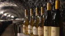 匈牙利百年酒庄的中国新期待