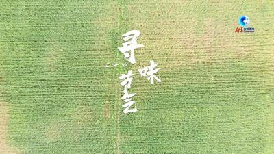 全球连线｜在沪外籍友人在小满节气下田插秧