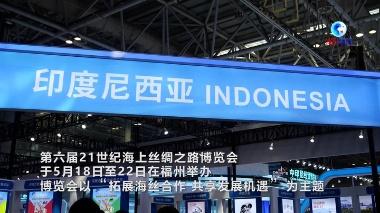 全球连线｜第六届海丝博览会：“一带一路”上的中国和印尼情缘