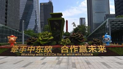 共话中国经济新机遇丨综述：搭建共赢平台 激发合作潜力——展商眼中的中国-中东欧国家博览会