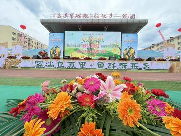 第六届“5·20”世界蜜蜂日暨首届饶河东北黑蜂节开幕