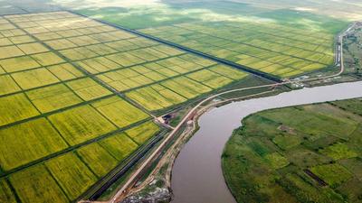 “中国方案”为“一带一路”国际农业合作注入新动力