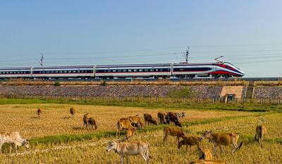 开通运营18个月 中老铁路交出亮眼成绩单