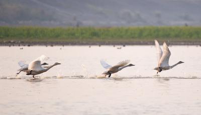 中国积极共建清洁美丽新世界