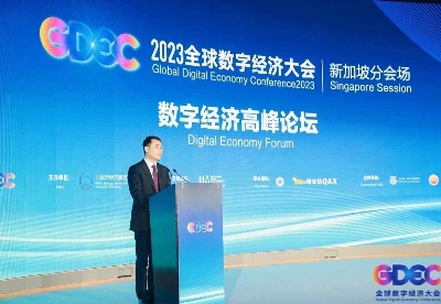 2023全球数字经济大会新加坡分会场——数字经济高峰论坛成功举办