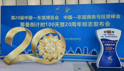 第20届东博会和峰会倒计时100天 发布20周年标志