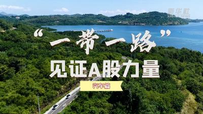 共享“一带一路”发展机遇 中国新能源汽车“走俏”东南亚