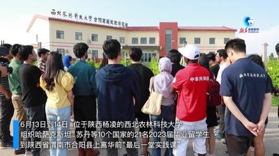 全球连线｜留学生走进农业园区 感受中国西部农业发展