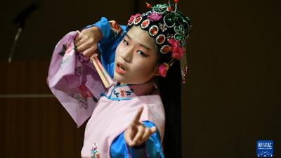 综合消息：多国举行“汉语桥”中文比赛