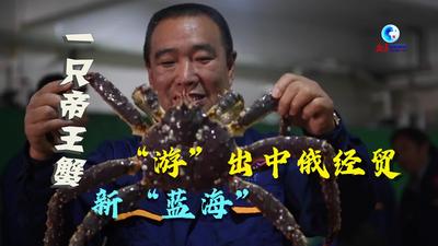 全球连线｜一只帝王蟹“游”出中俄经贸新“蓝海”
