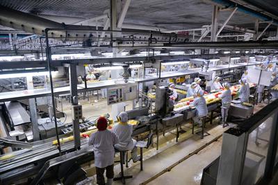 通讯：印度尼西亚菠萝加速对接中国大市场