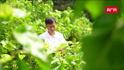 老挝留学生：希望把中国先进的种桑养蚕技术带回老挝