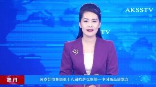 新疆阿克苏市参加第十八届哈萨克斯坦—中国商品展览会