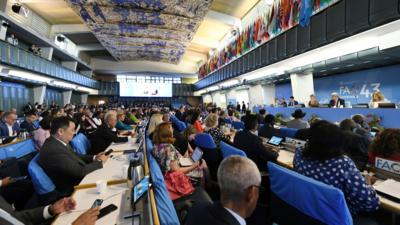 国际观察｜全球粮农事业发展的中国贡献