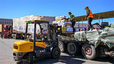 贸易规模有突破 促稳提质有支撑——透视我国外贸进出口半年报