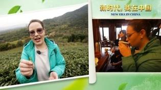 新时代，我在中国丨览茶园风光，品茶道风骨