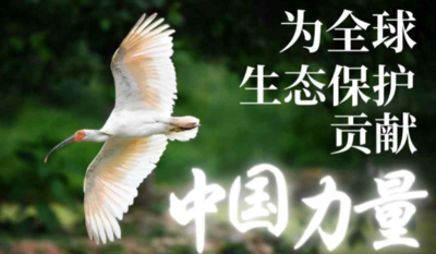 海外专家这么看中国生态保护