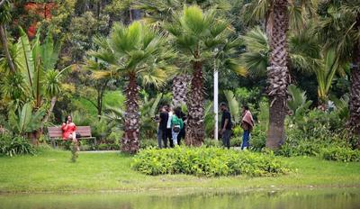 中外这些合作项目，让地球更美好