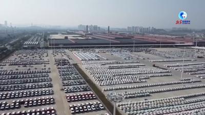 全球连线｜西部陆海新通道推动中国西部地区汽车零配件出口增长