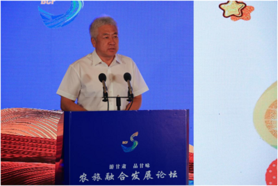 中国旅游协会张晓军：民宿是农文旅融合的指标性业态