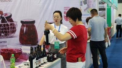 中哈两国企业共商农业新合作