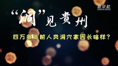 “洞”见贵州：四万多年前人类洞穴家园长啥样？