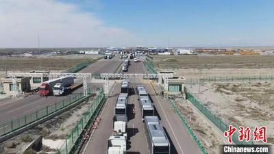 农业合作助中国新疆与中亚国家互利共赢