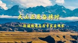 天山正是奋楫时——新疆推进高质量发展观察