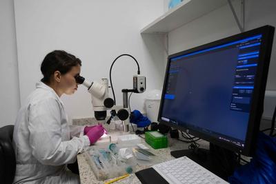 淡水河谷技术研究所注重学以致用
