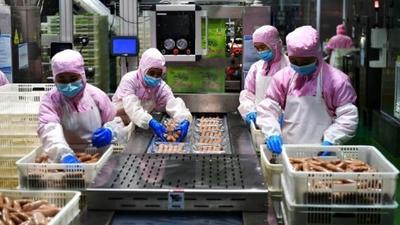 中印尼“两国双园”建设迈入“快车道” 成福建与东盟经贸合作“强引擎”