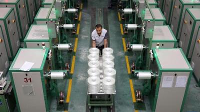 “一带一路”故事绘丨微米级的产业跃升：“玻纤之花”绽放红海之滨