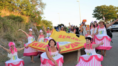 中国团队参加克罗地亚塞尼嘉年华获赞誉