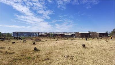 赋能“一带一路”高质量发展  “中国设计”勇毅出海