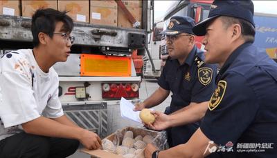 小土豆走出国门释放致富“薯”光