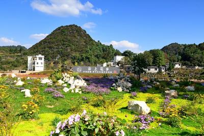 “清凉曲靖”发力“旅游+”新业态——云南罗平全域旅游风光正好