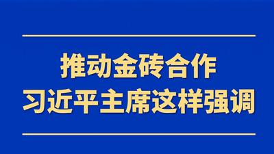 推动金砖合作，习近平主席这样强调