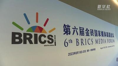 金砖国家媒体呼吁增强发展中国家话语权