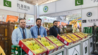 巴基斯坦芒果飘香商博会