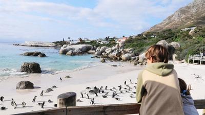 2023年上半年南非游客数量显著增长