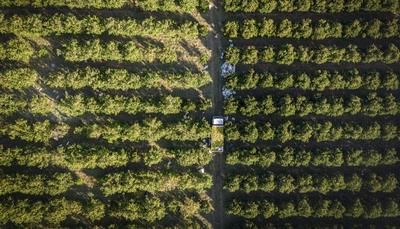 共话中国经济新机遇丨专访：对华水果出口增长体现南中双赢合作——访南非柑橘种植协会首席运营官保罗·哈德曼