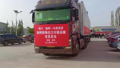 首次出口！伽师新梅奔向马来西亚