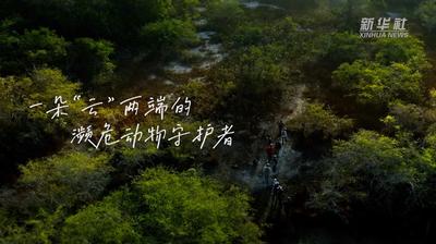 一带一路·零距离｜一朵“云”两端的濒危动物守护者