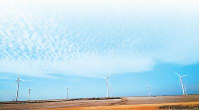 “为了这份绿，我们一直在努力”