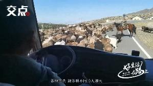 阿拉山口：站稳开放“风口” 外贸活力迸发