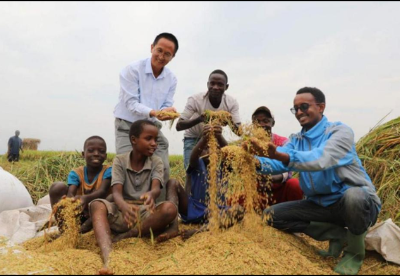 凝心聚力，打造中国援外技术品牌——布隆迪高级农业专家技术援助项目